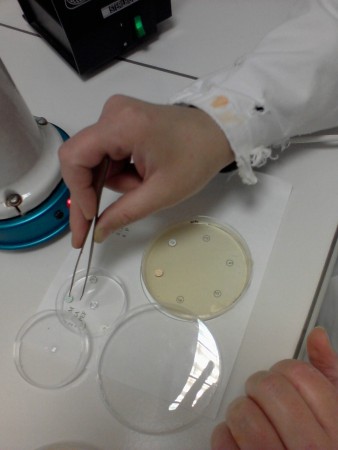 Mise en place des antibiotiques