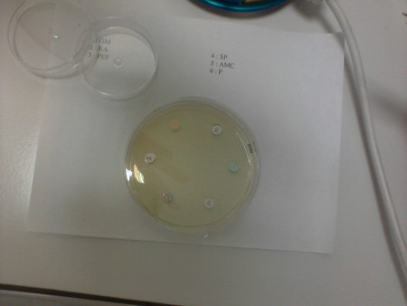 Fin de l'expèrience